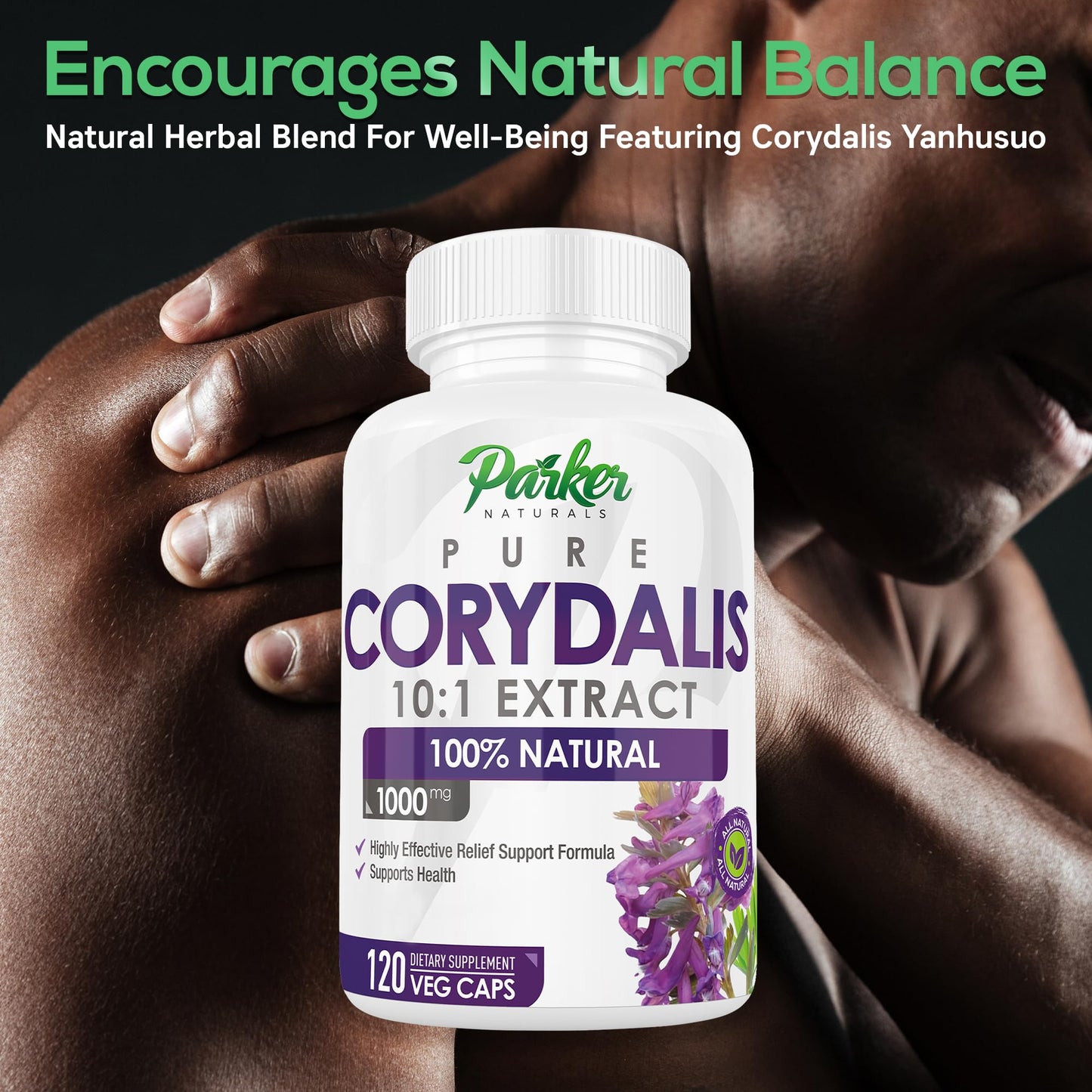 Pure Corydalis Root Extract Capsule - 1000mg Strength, 10:1 Corydalis Yanhusuo Extract, Natural Relief, Long Lasting, 100% Vegetarian, 60 Servings, 120 Count - Maple Wellness Supplements