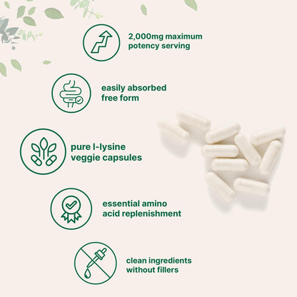 Pure L-Lysine 2,000mg, 300 Veggie Capsules | Maximum Potency, Easily Absorbed, Free Form | Essential Amino Acid for Collagen, Lip, & Immune Support - Maple Wellness Supplements