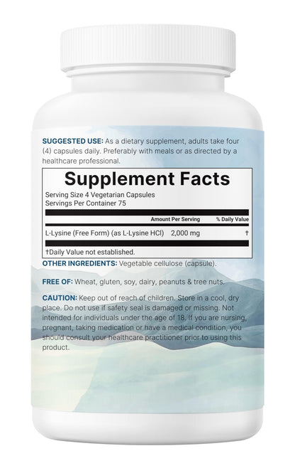 Pure L-Lysine 2,000mg, 300 Veggie Capsules | Maximum Potency, Easily Absorbed, Free Form | Essential Amino Acid for Collagen, Lip, & Immune Support - Maple Wellness Supplements