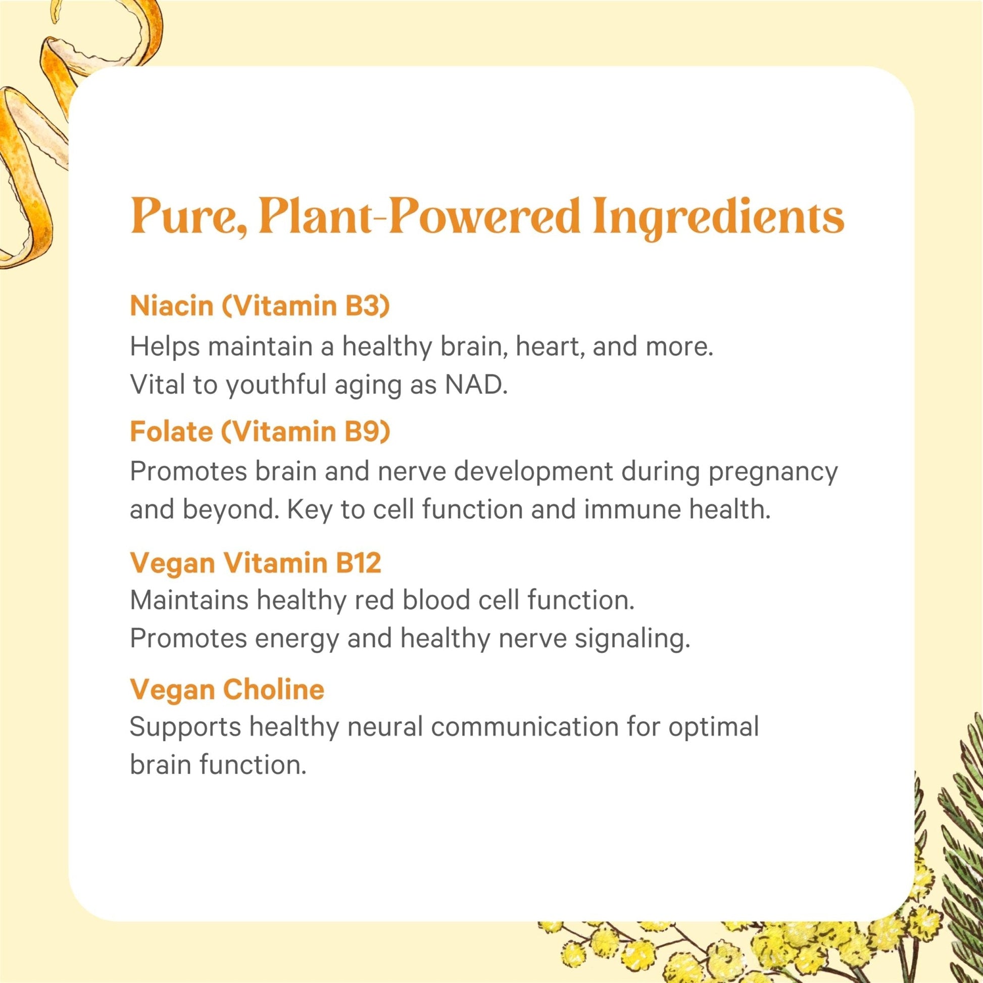 PURE SYNERGY Super B-Complex | Vitamin B Complex Made with Organic Whole Foods | Vegan Supplement with Natural Vitamin B12, Niacin, and Folate | for Energy - Maple Wellness Supplements