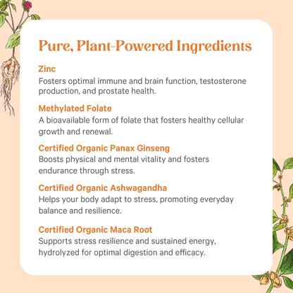 PURE SYNERGY Vita·Min·Vitality | Natural Multivitamin for Men | Men’s Daily Multivitamin Made with Organic Whole Foods | for Energy, Stress, and Immune Support (60 Tablets) - Maple Wellness Supplements