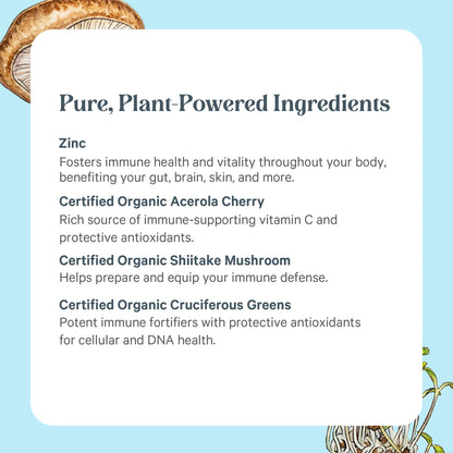 PURE SYNERGY Zinc Complex | Immune Support Supplement | Natural, Vegan Zinc Complex with Vitamin C and Organic Whole Foods | for Immune - Maple Wellness Supplements