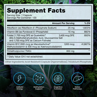 Pure Therapro Rx Methylated B Complex Vitamins Made in USA, 4 Month Supply | Methyl B Complete Quatrefolic 5-MTHF Folate, B12 Methylcobalamin, - Maple Wellness Supplements