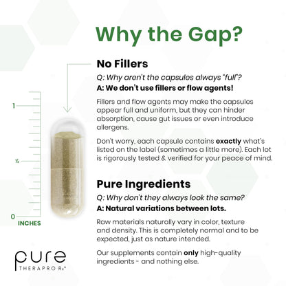Pure Therapro Rx OncoProtect ES HIGH DOSE Sulforaphane Supplement, Made in USA | 2 Month Supply | 706 mg Patented Activated BroccoRaphanin Broccoli Seed Extract | Glucoraphanin + Myrosinase - Maple Wellness Supplements