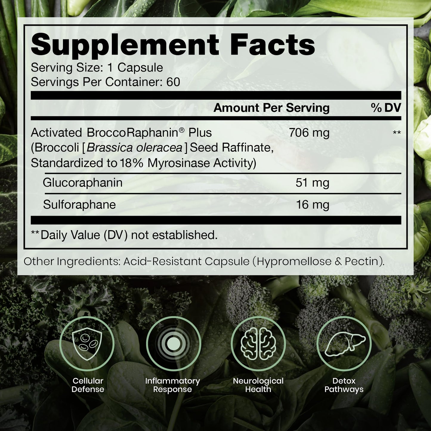 Pure Therapro Rx OncoProtect ES HIGH DOSE Sulforaphane Supplement, Made in USA | 2 Month Supply | 706 mg Patented Activated BroccoRaphanin Broccoli Seed Extract | Glucoraphanin + Myrosinase - Maple Wellness Supplements