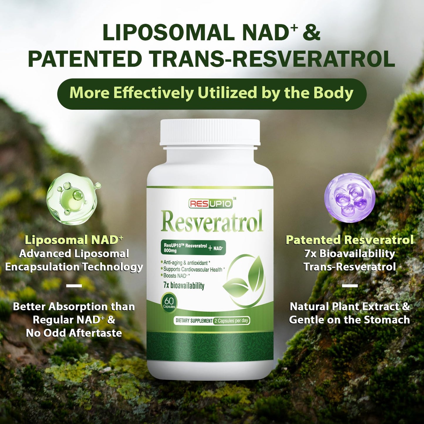 PureBotan Liposomal NAD+ Resveratrol Supplement 1300mg, High Bioavailable Trans Resveratrol ResUP10, with Extra Strength NAD Plus, Support Aging, Cardiovascular Health and Cellular Energy, 60 Capsules - Maple Wellness Supplements