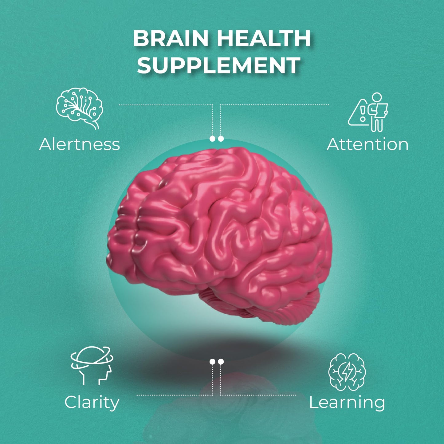 PUREHEALTH RESEARCH Ageless Brain Supplements for Memory and Focus - Nootropic Brain Health Supplement for Adults - with Bacopa Monieri, Alpha GPC, L-Tyrosine, Vitamin B6, Niacin & More, 60 Capsules - Maple Wellness Supplements