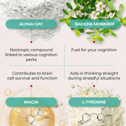 PUREHEALTH RESEARCH Ageless Brain Supplements for Memory and Focus - Nootropic Brain Health Supplement for Adults - with Bacopa Monieri, Alpha GPC, L-Tyrosine, Vitamin B6, Niacin & More, 60 Capsules - Maple Wellness Supplements