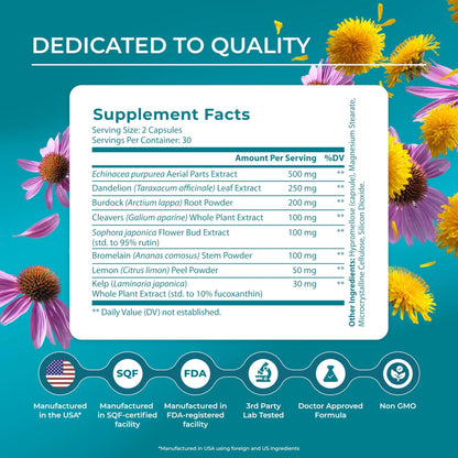 PUREHEALTH RESEARCH Lymph System Support - Lymphatic Drainage Supplement for Women & Men - Bromelain, Echinacea, Dandelion, Burdock Root, Lemon Powder, Kelp, Cleavers & More - 60 Capsules - Maple Wellness Supplements