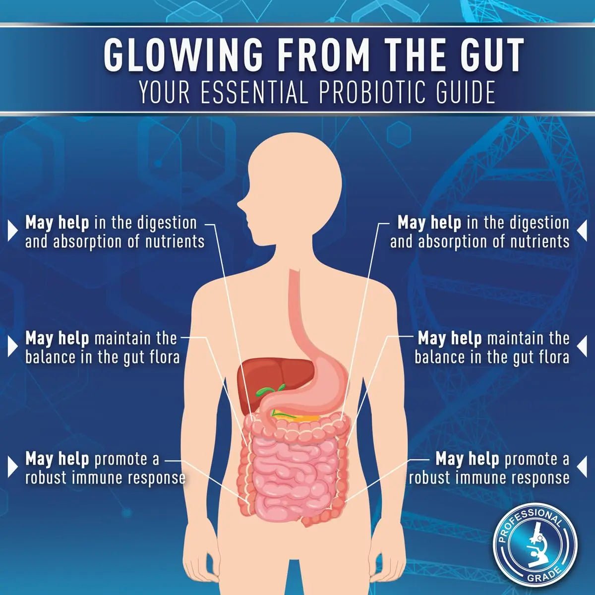 Purely Optimal Probiotics for Digestive Health, 60 Billion CFU – Delayed-Release with Digestive Enzymes & Organic Prebiotics – Bloating, Immune & Energy Support, 30 Caps - Maple Wellness Supplements