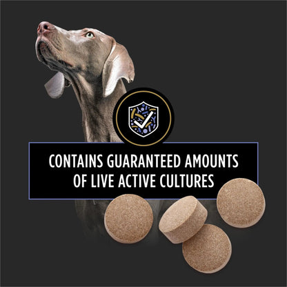 Purina Pro Plan Veterinary Supplements FortiFlora Daily Probiotics for Dogs Chewable Tablets for Digestive Gut Health and Diarrhea - 90 ct. Canister - Maple Wellness Supplements
