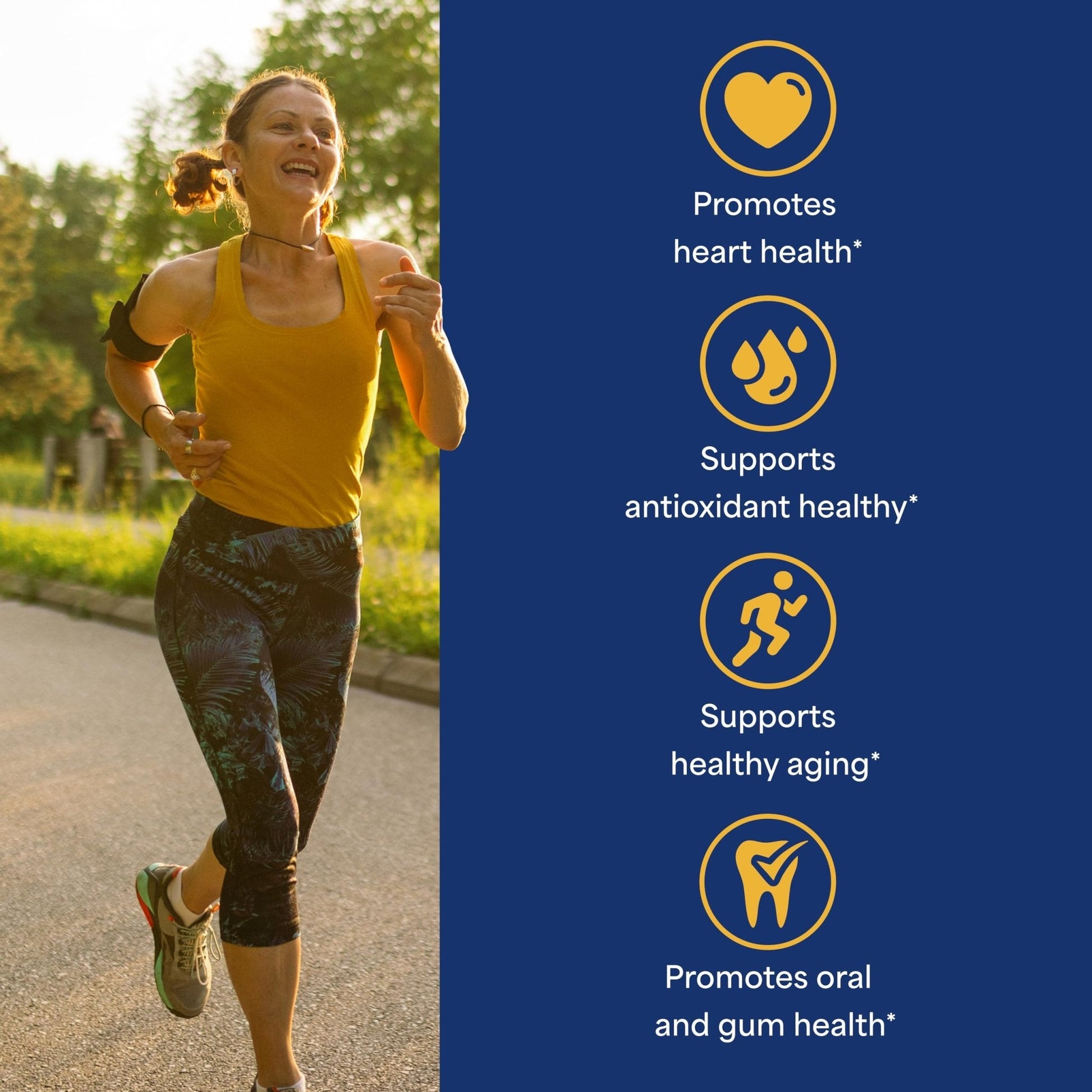 Puritan's Pride Coenzyme CoQ10 100mg, Dietary Supplement for Heart Health, Blood Pressure, Oral Gum Health, and Healthy Aging Support - Maple Wellness Supplements