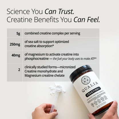 Qualia Creatine | Advanced Creatine Complex | 2 Sources + Magnesium | Optimized Absorption | Muscle Performance, Brain Function, & Healthy Aging - Maple Wellness Supplements