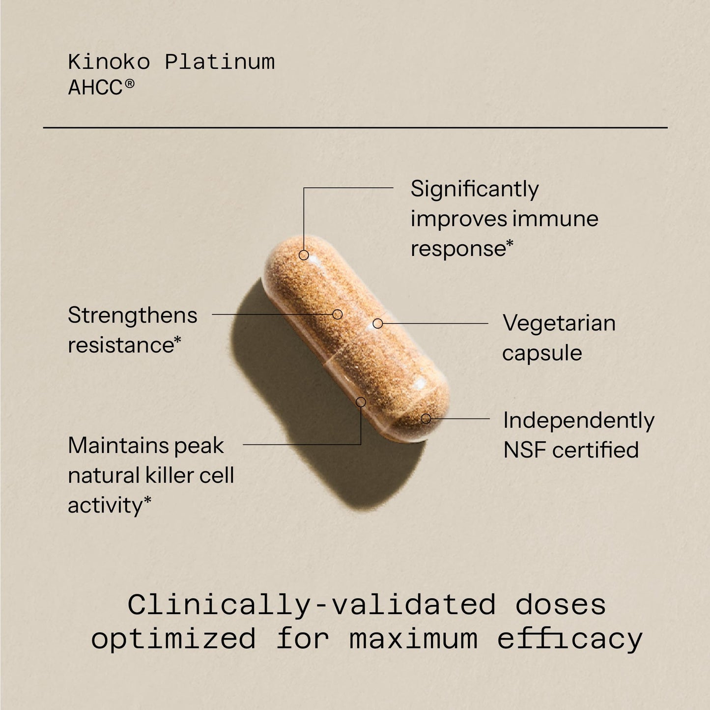 Quality of Life Premium Kinoko Platinum AHCC Herbal Supplement, 750mg per Capsule, for Immune Support, Liver Function, Maintains Natural Killer Cell Activity - Maple Wellness Supplements