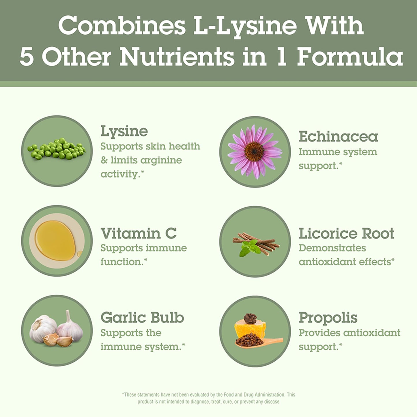 Quantum Health Super Lysine+ / Advanced Formula Lysine+ Immune Support with Vitamin C, Echinacea, Licorice, Propolis, Odorless Garlic - Maple Wellness Supplements