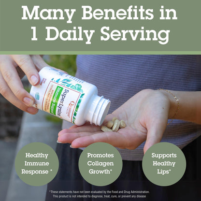 Quantum Health Super Lysine+ / Advanced Formula Lysine+ Immune Support with Vitamin C, Echinacea, Licorice, Propolis, Odorless Garlic (90 Tablets) - Maple Wellness Supplements