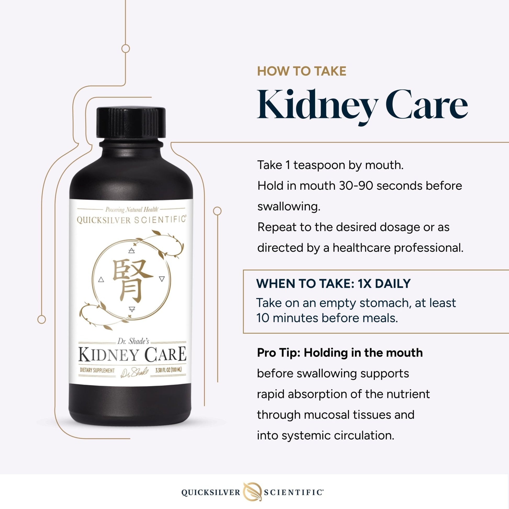 Quicksilver Scientific Kidney Care - Kidney Cleanse & Lymphatic Drainage Supplements - Astragaloside IV Extract, Zhu Ling, Goldenrod, Ferulic Acid, He Shou Wu & Dandelion Leaf (3.38oz / 100ml) - Maple Wellness Supplements