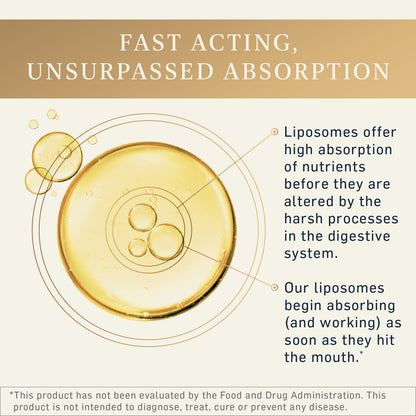 Quicksilver Scientific Liposomal GABA + L Theanine - Calm, Stress Response & Brain Support - Bioavailable GABA Supplement with L Theanine 100mg (1.7oz/50ml) - Maple Wellness Supplements