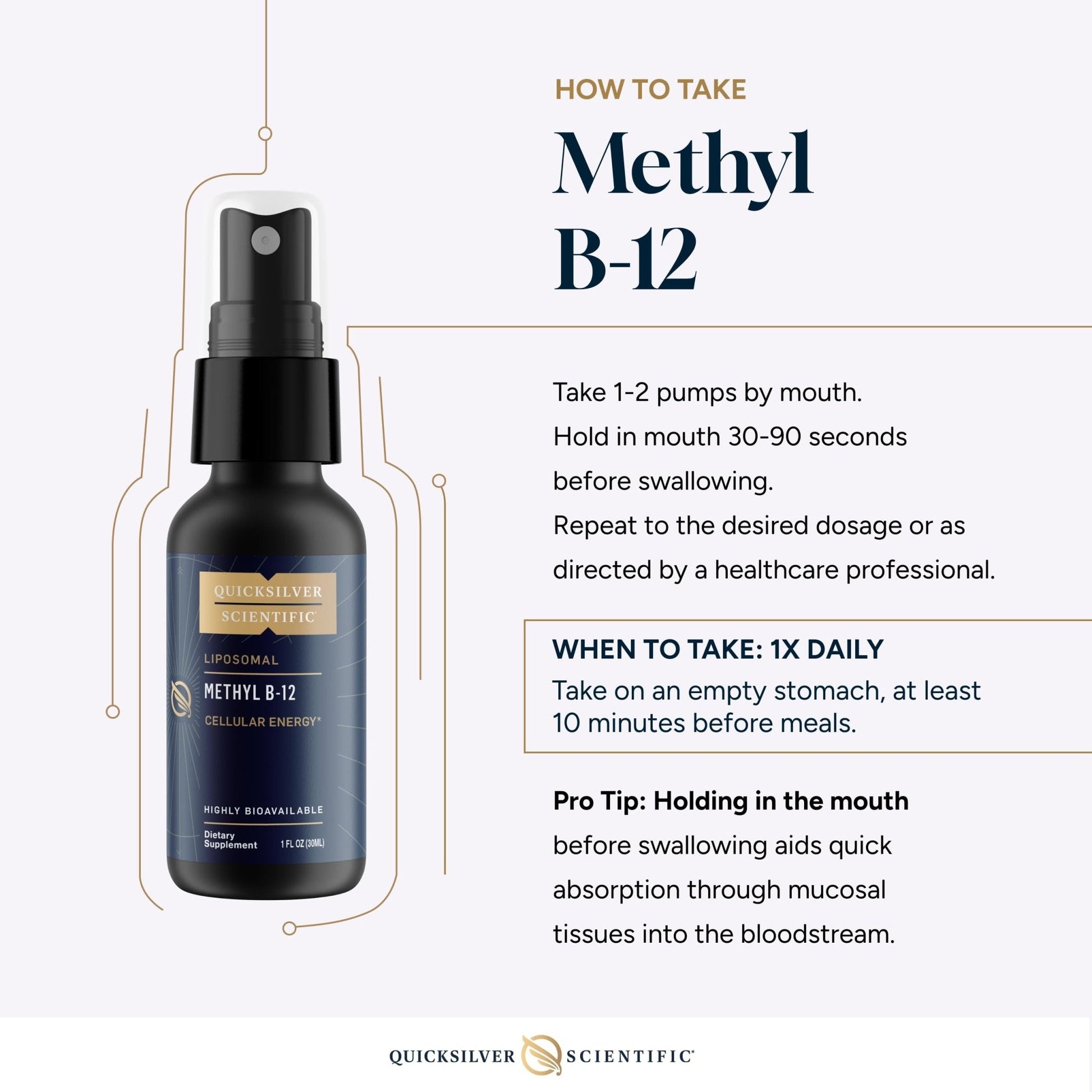 Quicksilver Scientific Methyl B12-1000mcg Vitamin B12 as Methylcobalamin - with Nano Technology for Superior Absorption - Supportive Energy Supplement (30ml / 90 Servings) - Maple Wellness Supplements