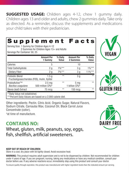 Rainbow Light Probiotic Gummies | 50 Count | Advanced Synbiotic with Prebiotic | for Men, Women & Children | Supports Digestive & Immune Health - Maple Wellness Supplements