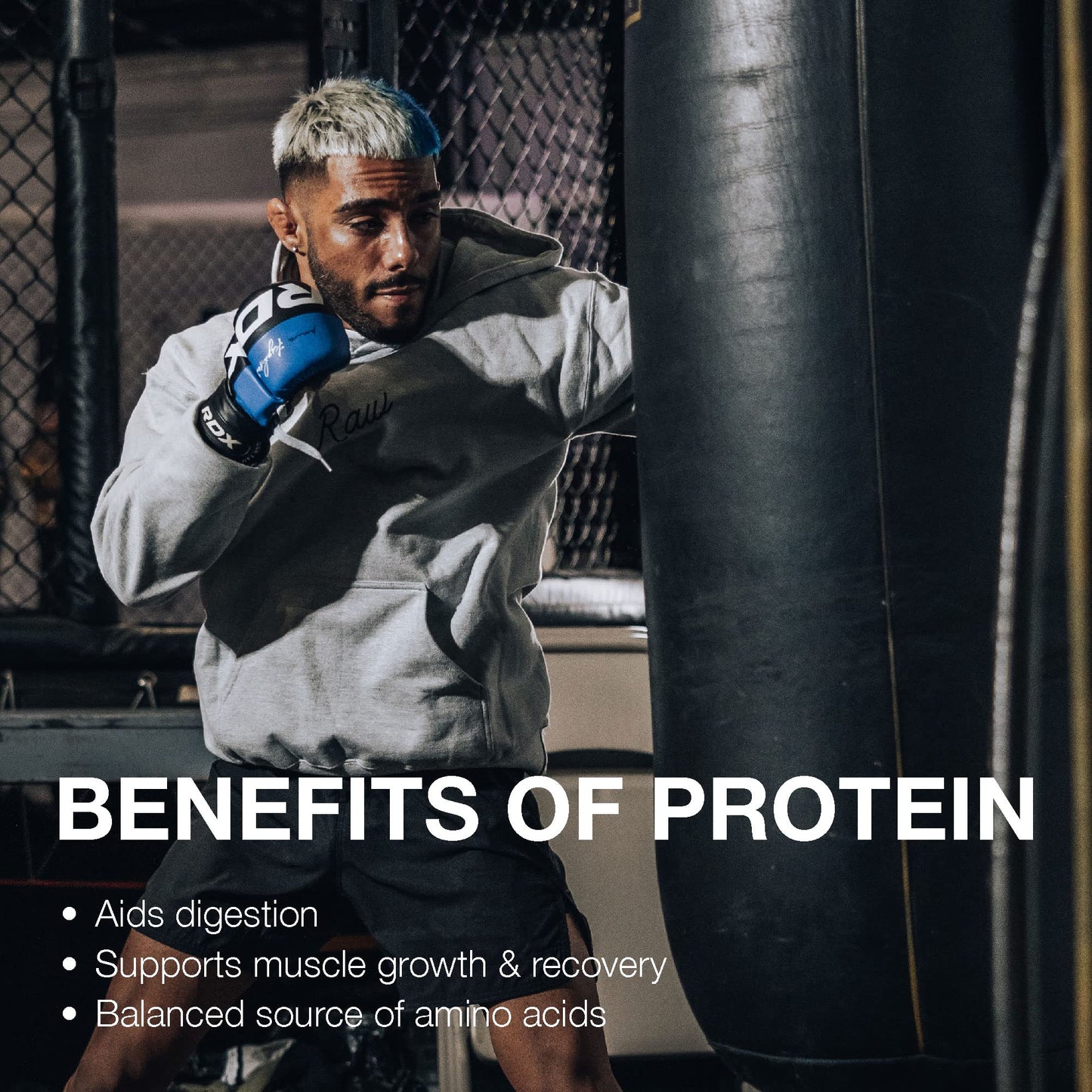 RAW Whey Isolate Protein Powder, Dark Chocolate - 100% Grass-Fed Sports Nutrition - Maple Wellness Supplements
