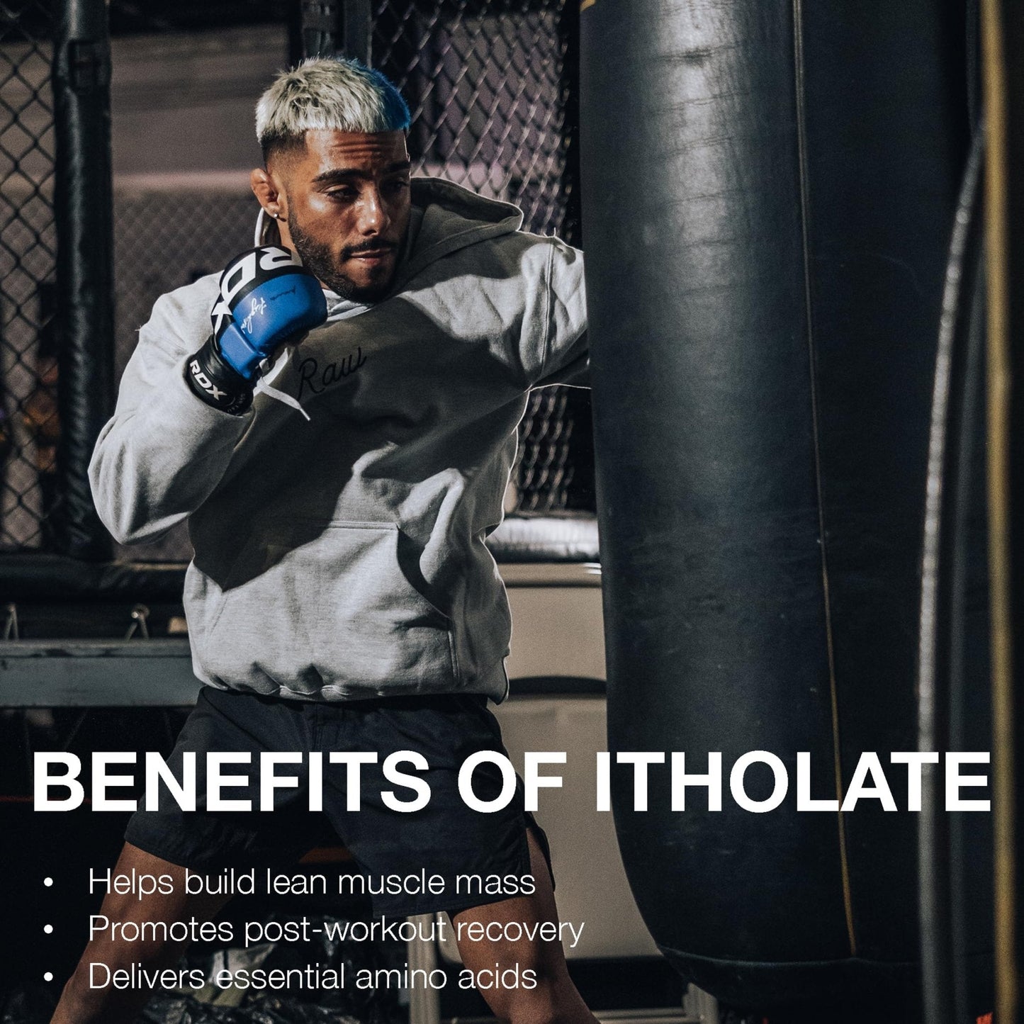 RAW Whey Isolate Protein Powder, Vanilla Oatmeal Cookie (CBUM Itholate Protein) - 100% Grass-Fed Sports Nutrition for Muscle Growth & Recovery - Low-Fat, Low Carb - Maple Wellness Supplements