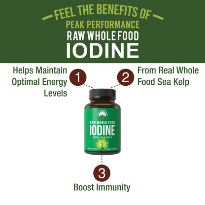 Raw Whole Food Iodine Supplement from Organic Kelp (Ascophyllum Nodosum) by Peak Performance. Potassium Iodide Support Tablets. for Metabolism, Energy, and Immune. 60 Vegan Capsules, Pills. - Maple Wellness Supplements