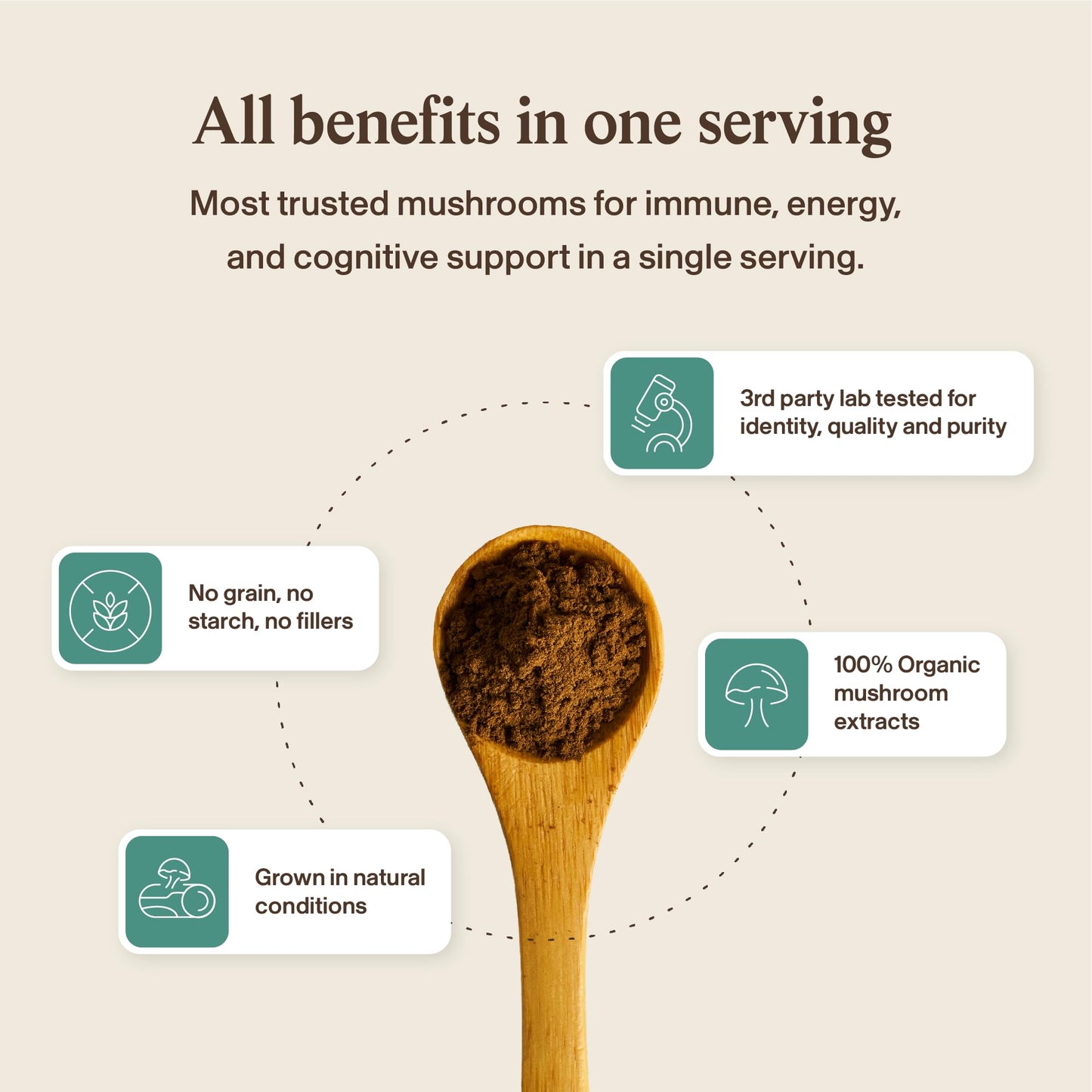 Real Mushrooms 5 Defenders - Adaptogenic Mushrooms Complex with Chaga, Reishi, Turkey Tail, Maitake & Shiitake for Wellness Support - Maple Wellness Supplements
