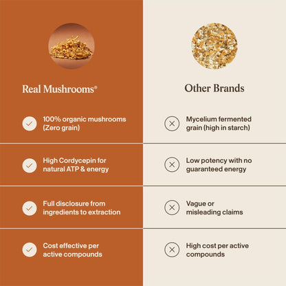 Real Mushrooms Capsules Supplements - Organic Cordyceps Mushroom Powder in Capsules - Energy and Performance Mushrooms with Verified Beta Glucans - Vegan, Non-GMO, 300 Capsules - Maple Wellness Supplements