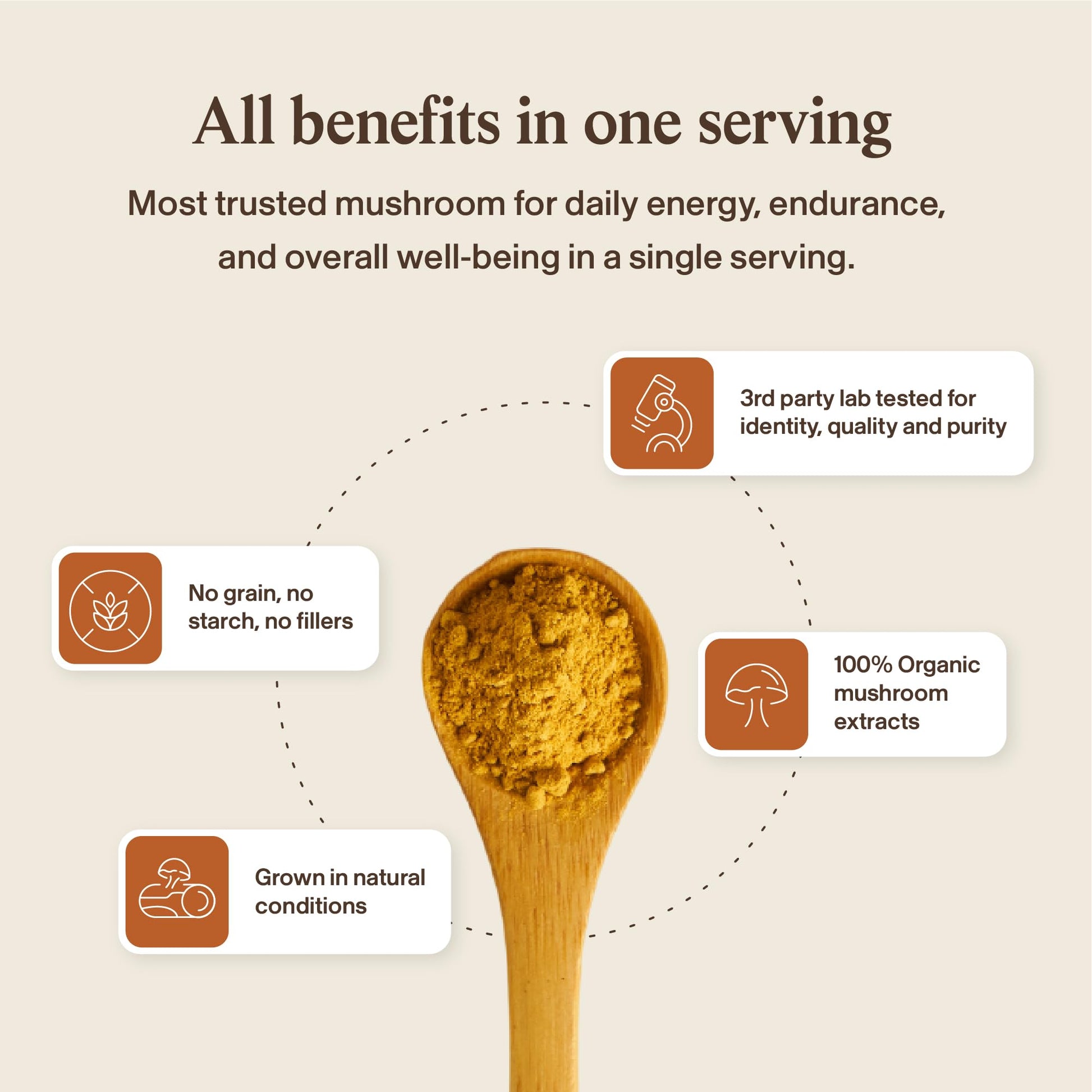 Real Mushrooms Capsules Supplements - Organic Cordyceps Mushroom Powder in Capsules - Energy and Performance Mushrooms with Verified Beta Glucans - Vegan, Non-GMO, 300 Capsules - Maple Wellness Supplements