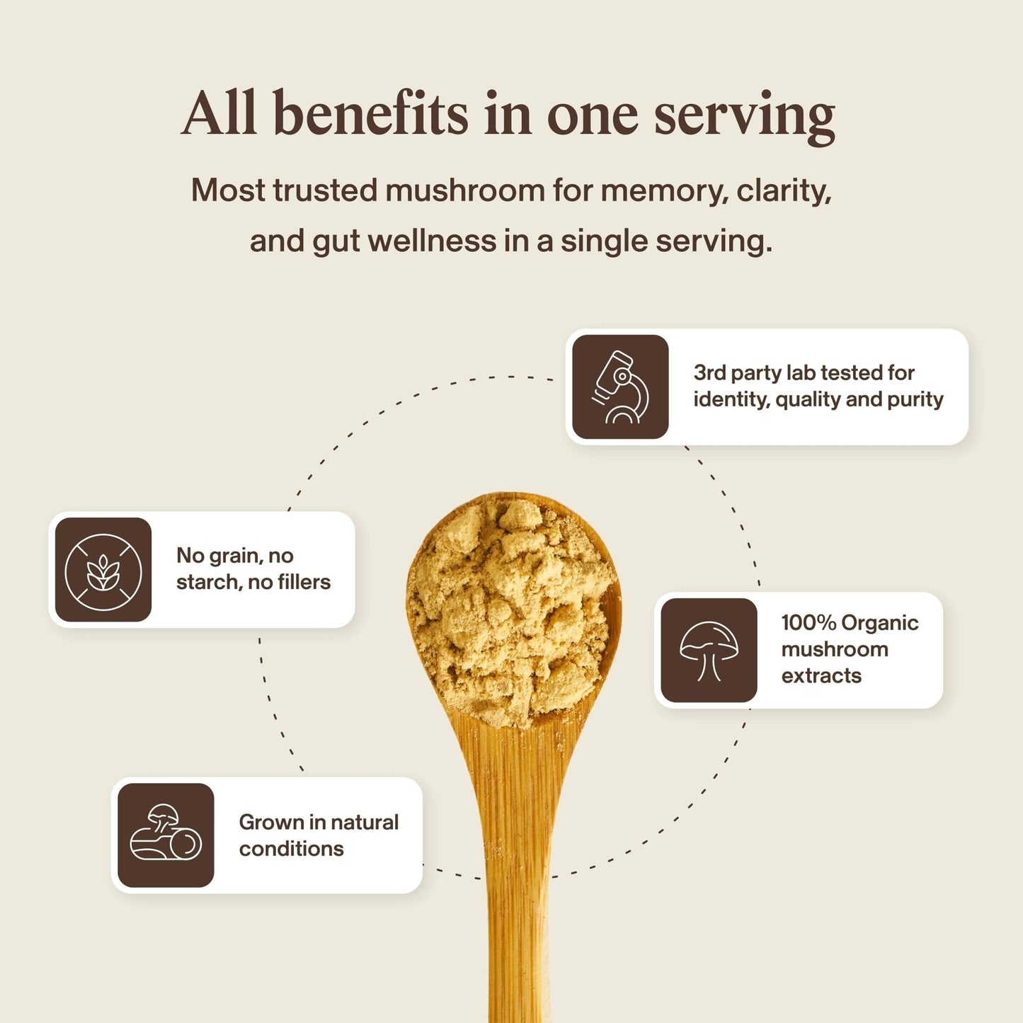 Real Mushrooms Lions Mane Mushroom Cognition (120 Capsules) Lions Mane Mushroom Powder Extract Capsules - Maple Wellness Supplements
