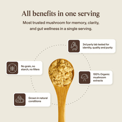 Real Mushrooms Lions Mane Mushroom Cognition (120 Capsules) Lions Mane Mushroom Powder Extract Capsules - Maple Wellness Supplements