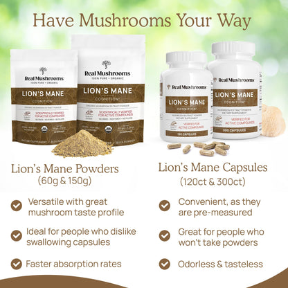 Real Mushrooms Lion’s Mane Powder - Organic Lions Mane Mushroom Extract - Maple Wellness Supplements