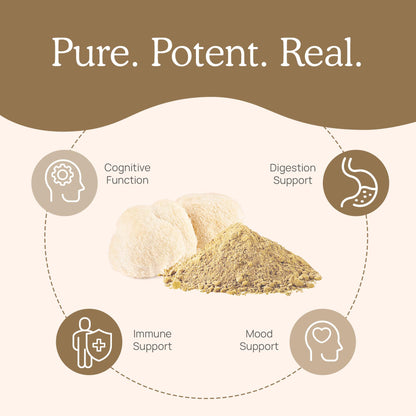 Real Mushrooms Lion’s Mane Powder - Organic Lions Mane Mushroom Extract - Maple Wellness Supplements