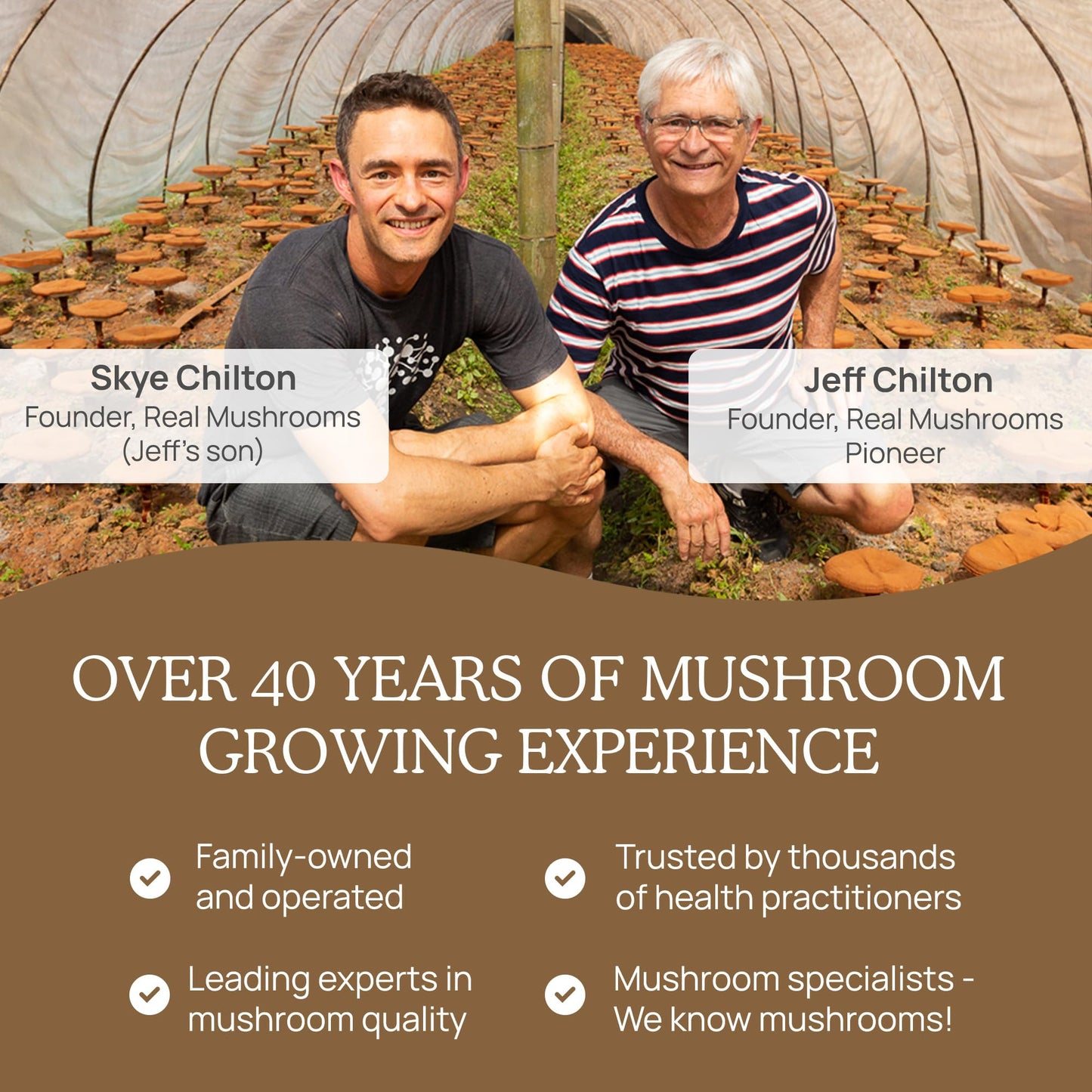 Real Mushrooms Lion’s Mane Powder - Organic Lions Mane Mushroom Extract - Maple Wellness Supplements