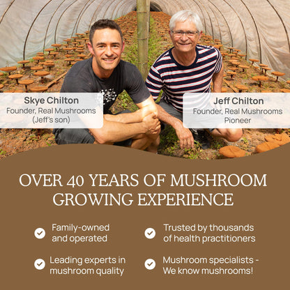 Real Mushrooms Lion’s Mane Powder - Organic Lions Mane Mushroom Extract - Maple Wellness Supplements