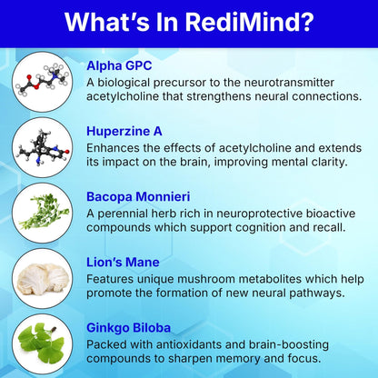 RediMind - Natural Cognitive Enhancement Supplement Capsule - Non-GMO, Vegan, Gluten-Free - Maple Wellness Supplements
