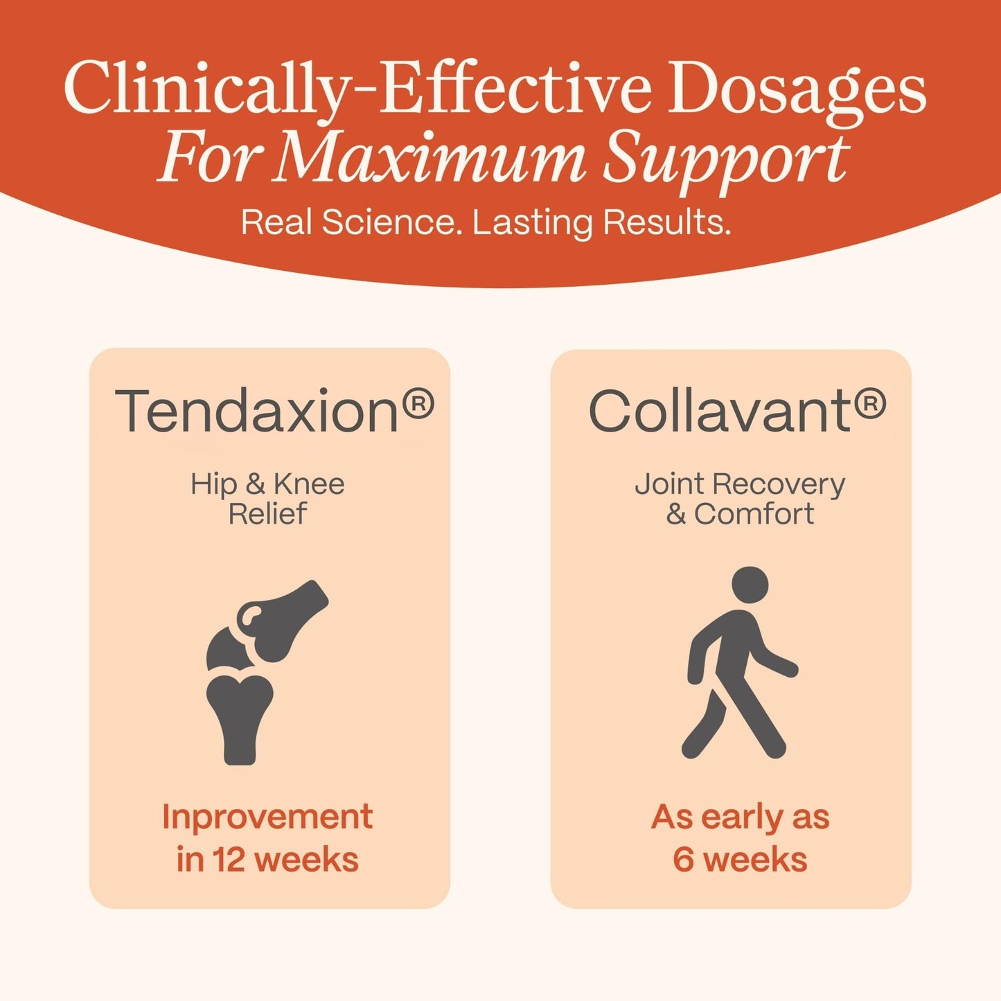 Rejuveen Osteva Joint Support Supplement for Women | High Potency Collagen, Turmeric, Boswellia | for Flexible Cartilage & Tendons, - Maple Wellness Supplements