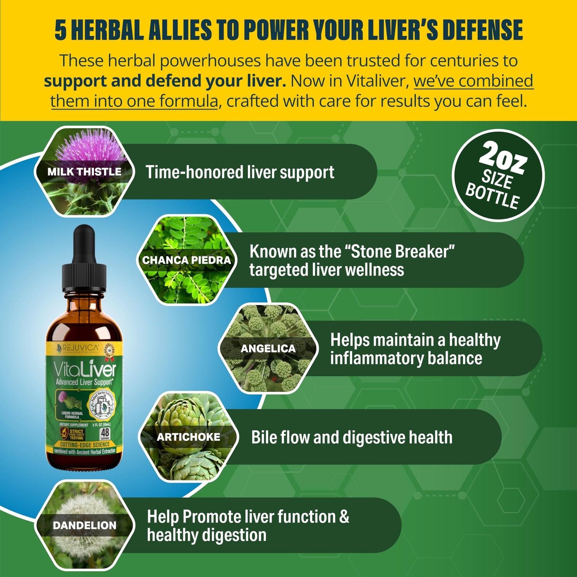 Rejuvica Health VitaLiver | Liver Cleanse & Detox Drops | Milk Thistle, Artichoke, Chanca Piedra & Dandelion Extract | Fatty Liver Support Repair - Maple Wellness Supplements