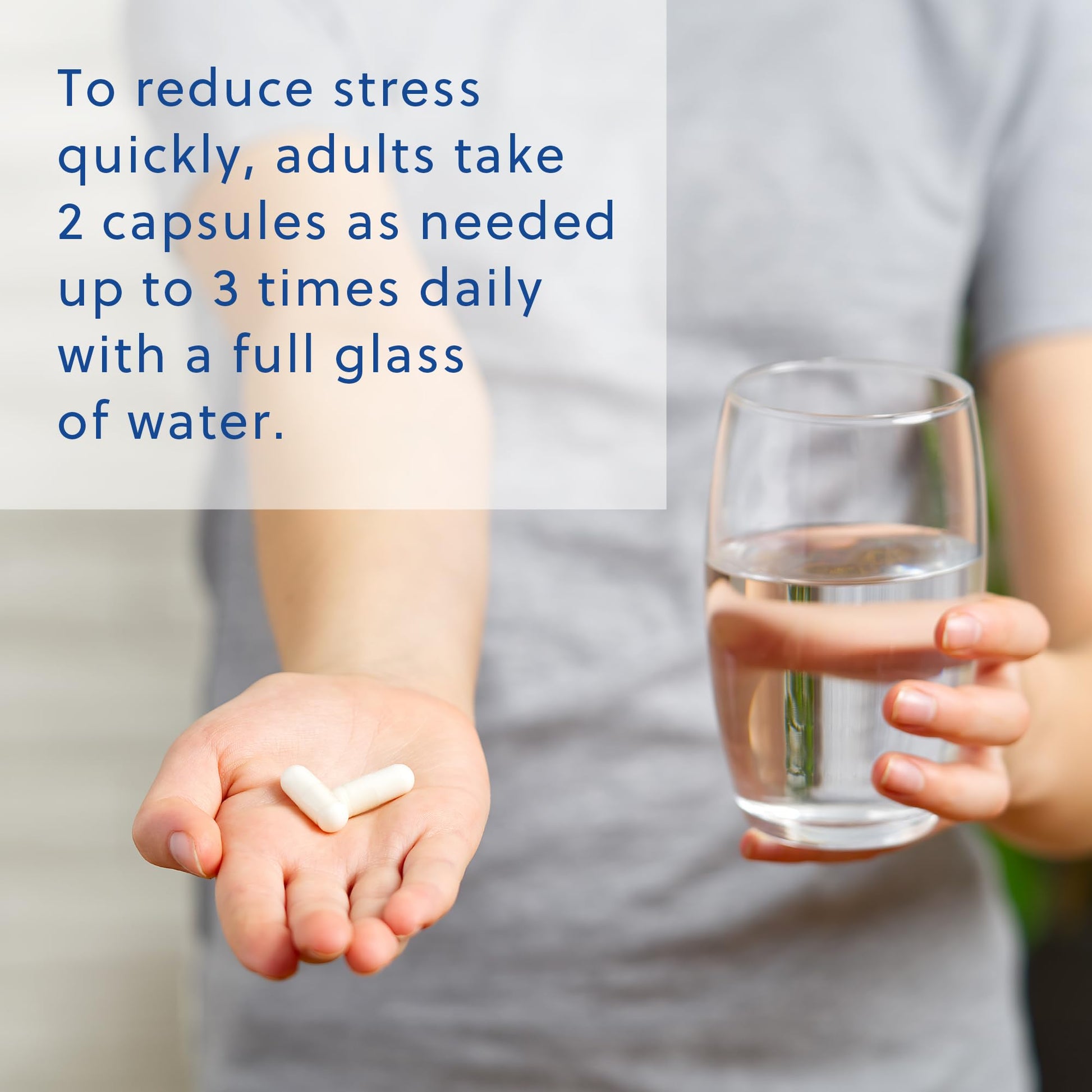 Relacore Quick Calm Mood Support Supplement with Ashwagandha, L-Theanine, Rapid Stress Relief and Relaxation – Cortisol Supplement - 60 ct - Maple Wellness Supplements