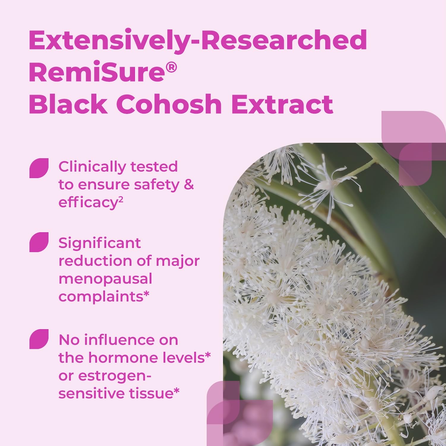 Remifemin Menopause Symptoms Relief - Clinically Proven Ingredients - Menopause Supplements - Black Cohosh - Estrogen-Free - Made in Germany - 60 Tablets - Maple Wellness Supplements