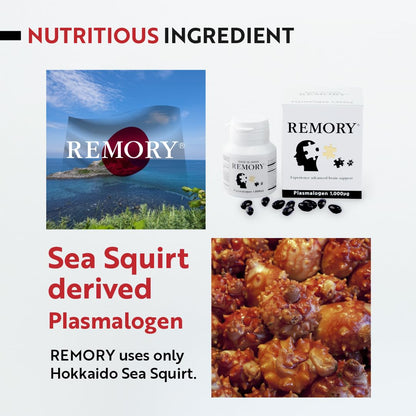 REMORY Plasmalogen Sea Squirt Supplement - Brain Health Supplement - 30 Days Supply - Maple Wellness Supplements