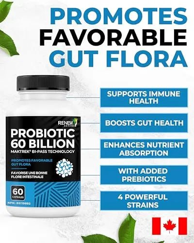 Renew Actives Probiotic Supplement for Digestive Health 60 Billion CFU per 2 Capsules - Advanced Formula with Prebiotic Benefits - Supports Gut Flora Balance & Wellness - Made in Canada - 60 Capsules - Maple Wellness Supplements