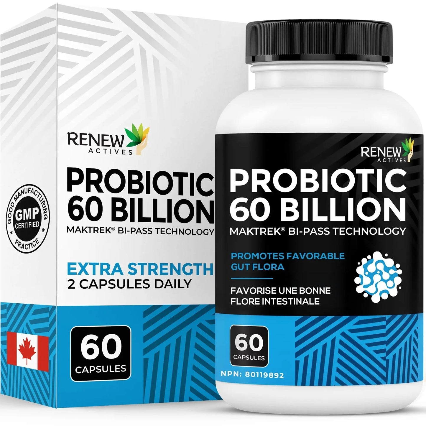 Renew Actives Probiotic Supplement for Digestive Health 60 Billion CFU per 2 Capsules - Advanced Formula with Prebiotic Benefits - Supports Gut Flora Balance & Wellness - Made in Canada - 60 Capsules - Maple Wellness Supplements