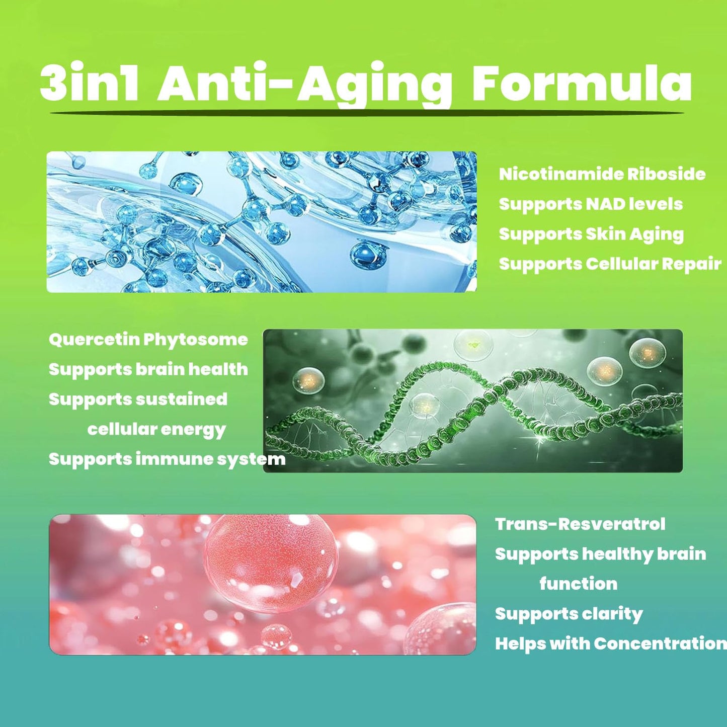 Renyqatt NAD+ Supplement - Liposomal Nicotinamide Riboside - Supplement for Anti-Aging, Energy, Focus - 80 Capsules（1B） - Maple Wellness Supplements