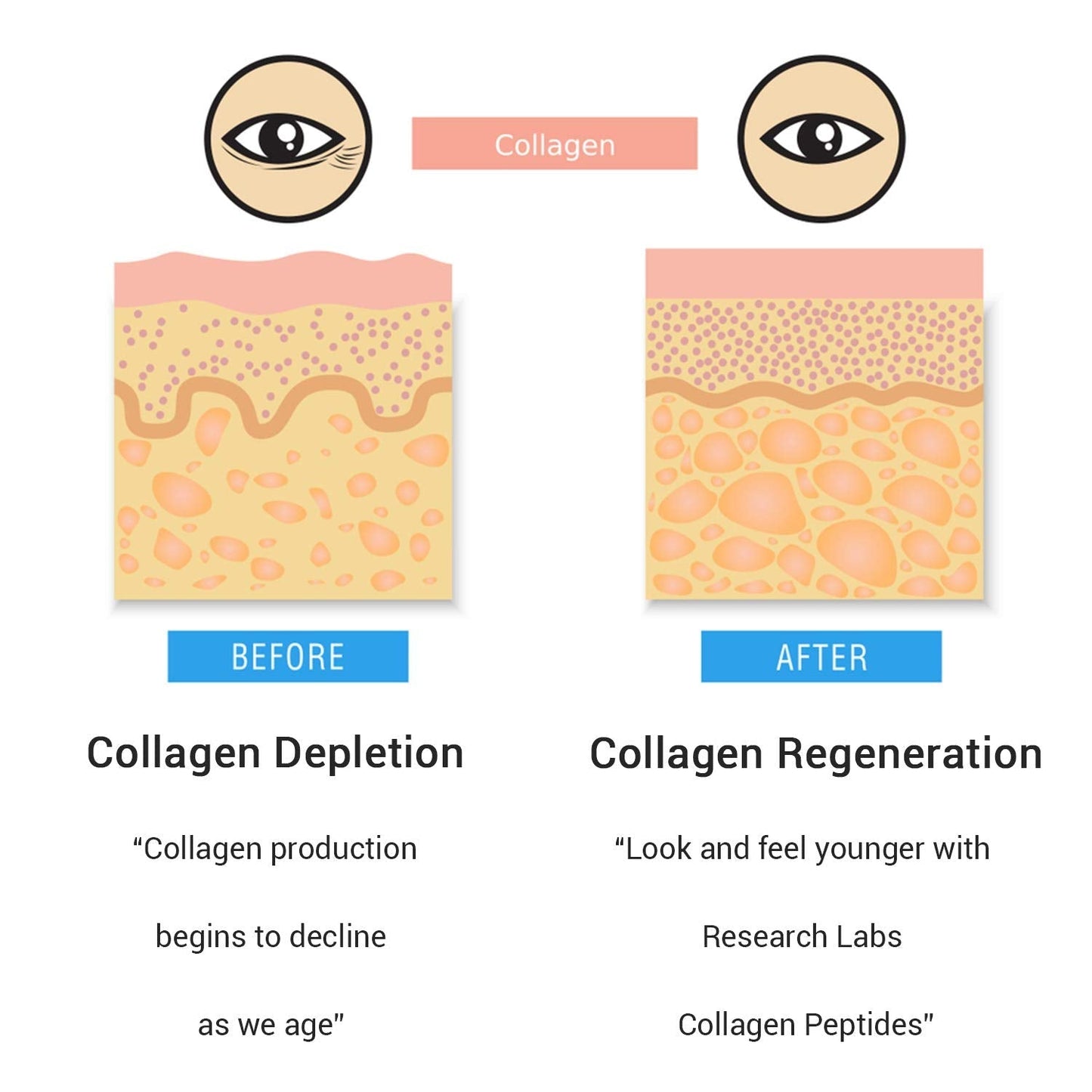 Research Labs 2 for 1 Promo 240 Collagen Pills - 6000 mg Per Day. Grass Fed Anti-Aging Support for Skin, Joints, Tendons, Bones, Hair and Nails. - Maple Wellness Supplements