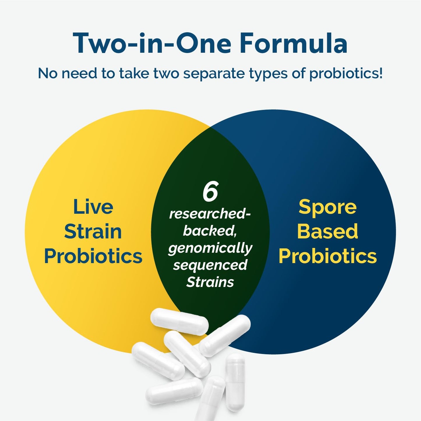 Researched Nutritionals Multi-Biome - Dual-Action Probiotics for Women & Men - Spore + Live Strain Formula with Delayed-Release Capsules for Gut Health, Histamine & Immune Support (30 ct) - Maple Wellness Supplements