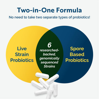 Researched Nutritionals Multi-Biome - Dual-Action Probiotics for Women & Men - Spore + Live Strain Formula with Delayed-Release Capsules for Gut Health, Histamine & Immune Support (30 ct) - Maple Wellness Supplements