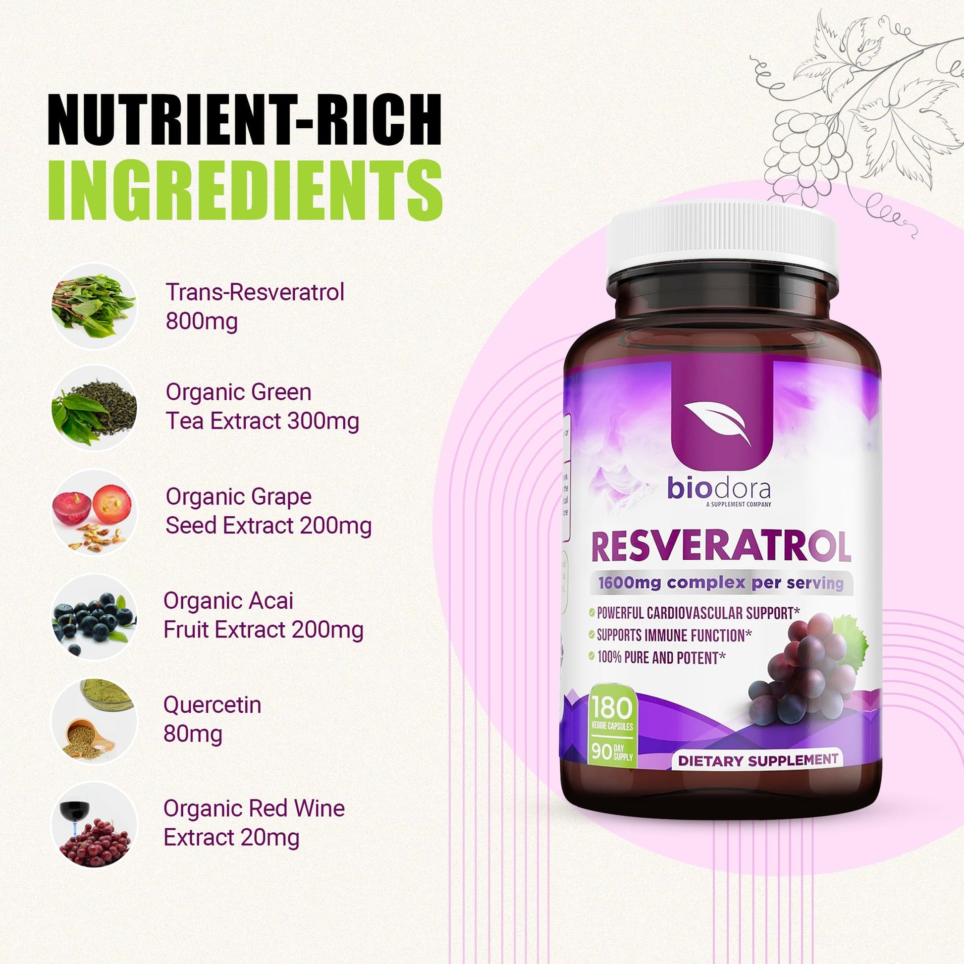 Resveratrol 1600mg - 180 Capsules | Trans-Resveratrol Antioxidant Supplement with Natural Green Tea, Grape Seed Polyphenols & Quercetin, Supports Digestive - Maple Wellness Supplements