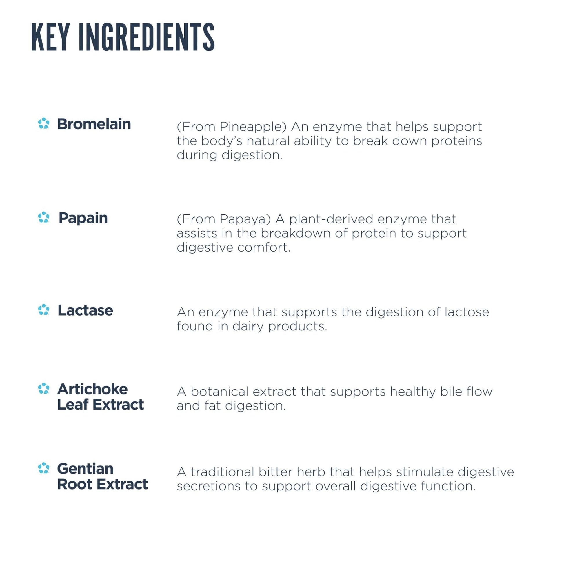 Revive MD Digest Aid, Digestive Support Supplement for Men & Women - Comprehensive Digestive Enzyme Blend with Probiotics & Prebiotics for Gut Health & Healthy Digestion - Maple Wellness Supplements
